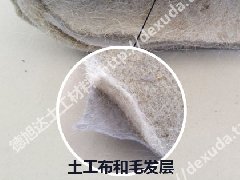 公司新品營養(yǎng)土工布